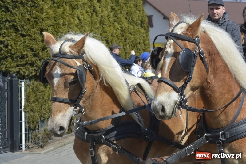 Zdjęcie w galerii na portalu naszraciborz.pl: Pietrowicka procesja z czeskim akcentem  wiadomości z regionu