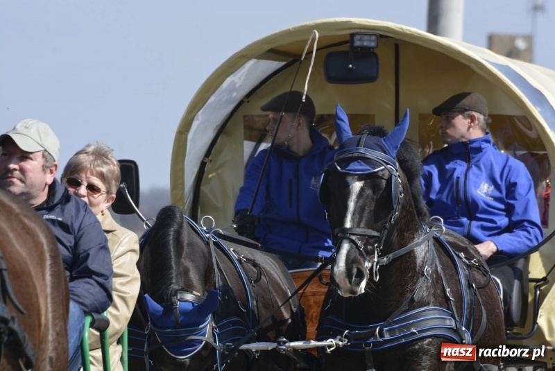 Zdjęcie w galerii na portalu naszraciborz.pl: Pietrowicka procesja z czeskim akcentem  wiadomości z regionu