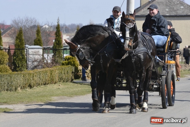 Zdjęcie w galerii na portalu naszraciborz.pl: Pietrowicka procesja z czeskim akcentem  wiadomości z regionu