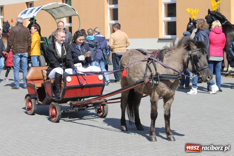 Zdjęcie w galerii na portalu naszraciborz.pl: Pietrowicka procesja z czeskim akcentem  wiadomości z regionu