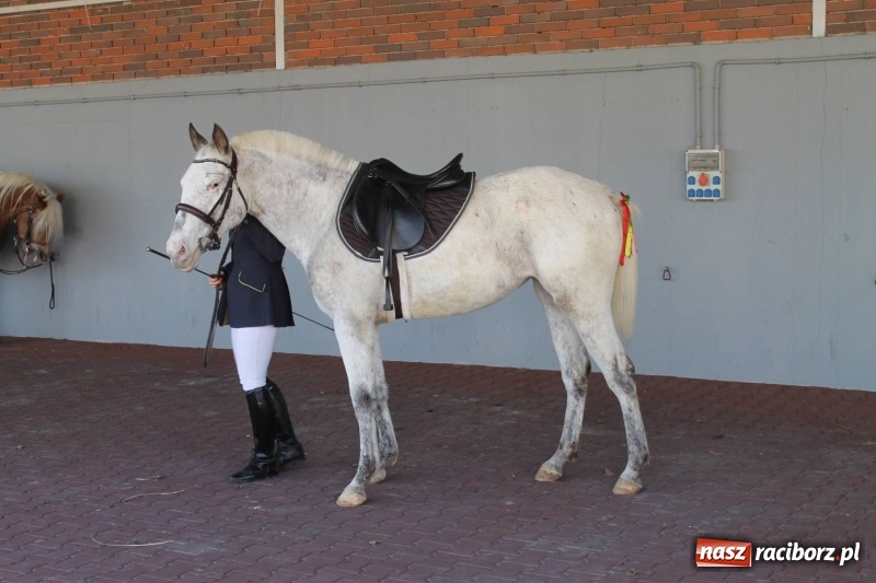 Zdjęcie w galerii na portalu naszraciborz.pl: Pietrowicka procesja z czeskim akcentem  wiadomości z regionu