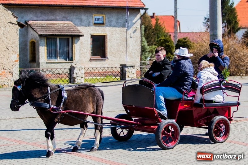 Zdjęcie w galerii na portalu naszraciborz.pl: Tradycji stało się zadość. Procesja konna w Zawadzie Książęcej  wiadomości z regionu