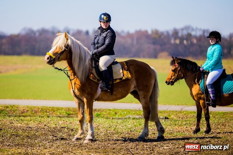 Zdjęcie w galerii na portalu naszraciborz.pl: Tradycji stało się zadość. Procesja konna w Zawadzie Książęcej  wiadomości z regionu
