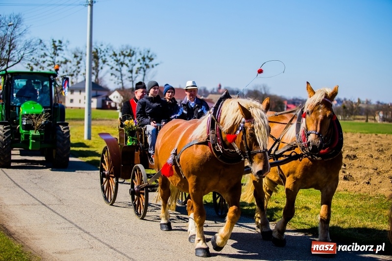 Zdjęcie w galerii na portalu naszraciborz.pl: Tradycji stało się zadość. Procesja konna w Zawadzie Książęcej  wiadomości z regionu