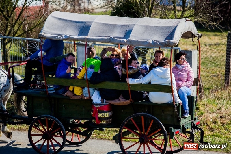 Zdjęcie w galerii na portalu naszraciborz.pl: Tradycji stało się zadość. Procesja konna w Zawadzie Książęcej  wiadomości z regionu