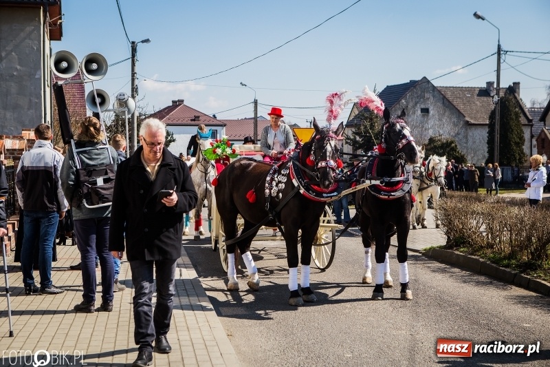Zdjęcie w galerii na portalu naszraciborz.pl: Wyścigi konne na finał procesji w Sudole wiadomości z regionu