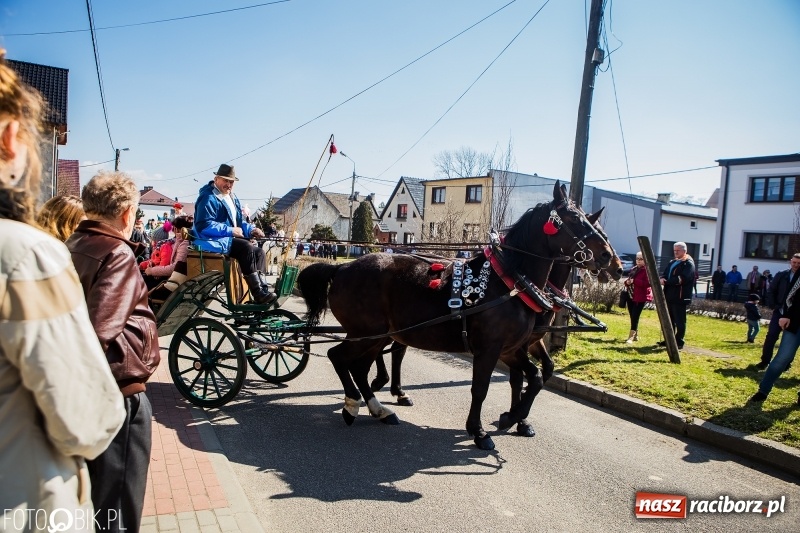 Zdjęcie w galerii na portalu naszraciborz.pl: Wyścigi konne na finał procesji w Sudole wiadomości z regionu