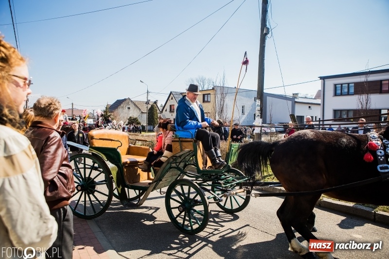 Zdjęcie w galerii na portalu naszraciborz.pl: Wyścigi konne na finał procesji w Sudole wiadomości z regionu