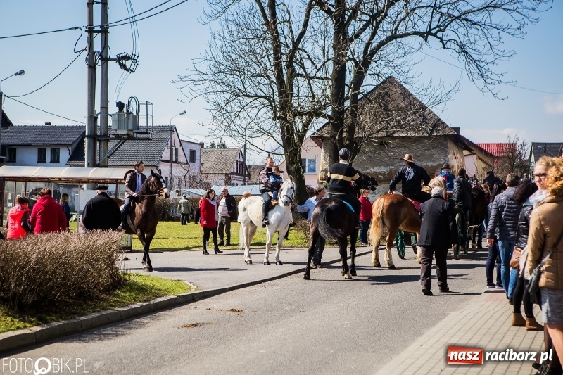 Zdjęcie w galerii na portalu naszraciborz.pl: Wyścigi konne na finał procesji w Sudole wiadomości z regionu