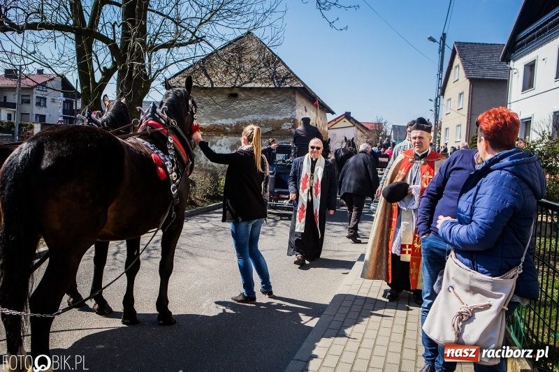 Zdjęcie w galerii na portalu naszraciborz.pl: Wyścigi konne na finał procesji w Sudole wiadomości z regionu