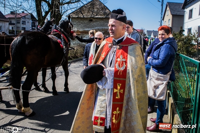 Zdjęcie w galerii na portalu naszraciborz.pl: Wyścigi konne na finał procesji w Sudole wiadomości z regionu