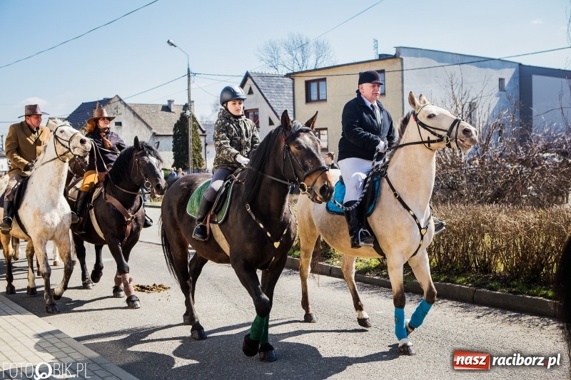Zdjęcie w galerii na portalu naszraciborz.pl: Wyścigi konne na finał procesji w Sudole wiadomości z regionu