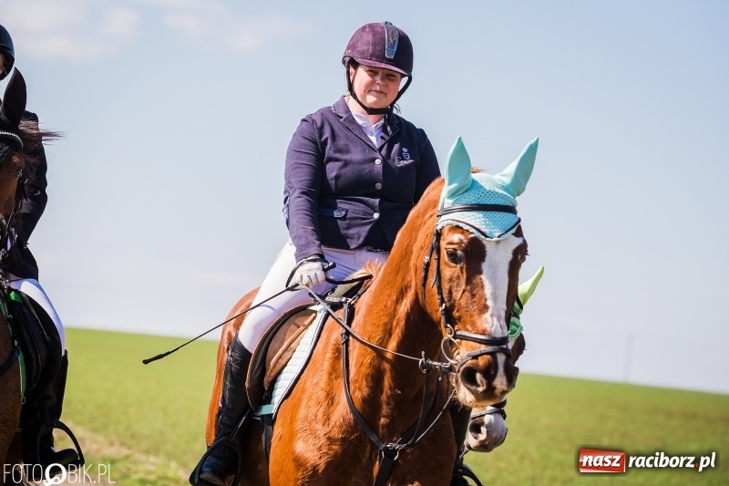 Zdjęcie w galerii na portalu naszraciborz.pl: Wyścigi konne na finał procesji w Sudole wiadomości z regionu