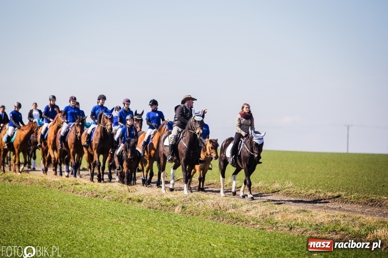 Zdjęcie w galerii na portalu naszraciborz.pl: Wyścigi konne na finał procesji w Sudole wiadomości z regionu