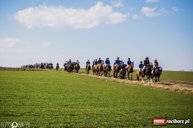 Zdjęcie w galerii na portalu naszraciborz.pl: Wyścigi konne na finał procesji w Sudole wiadomości z regionu