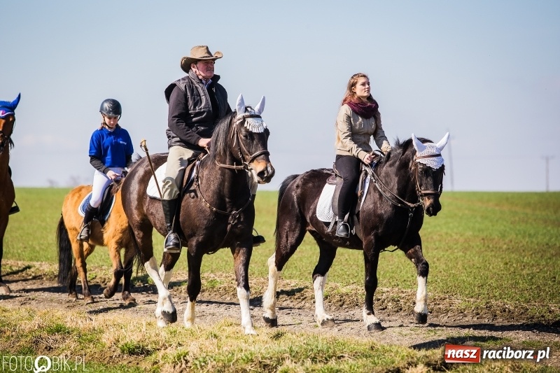 Zdjęcie w galerii na portalu naszraciborz.pl: Wyścigi konne na finał procesji w Sudole wiadomości z regionu