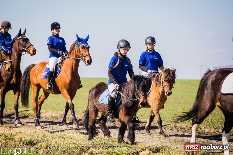 Zdjęcie w galerii na portalu naszraciborz.pl: Wyścigi konne na finał procesji w Sudole wiadomości z regionu