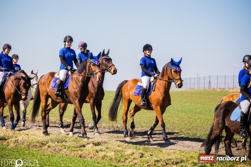 Zdjęcie w galerii na portalu naszraciborz.pl: Wyścigi konne na finał procesji w Sudole wiadomości z regionu