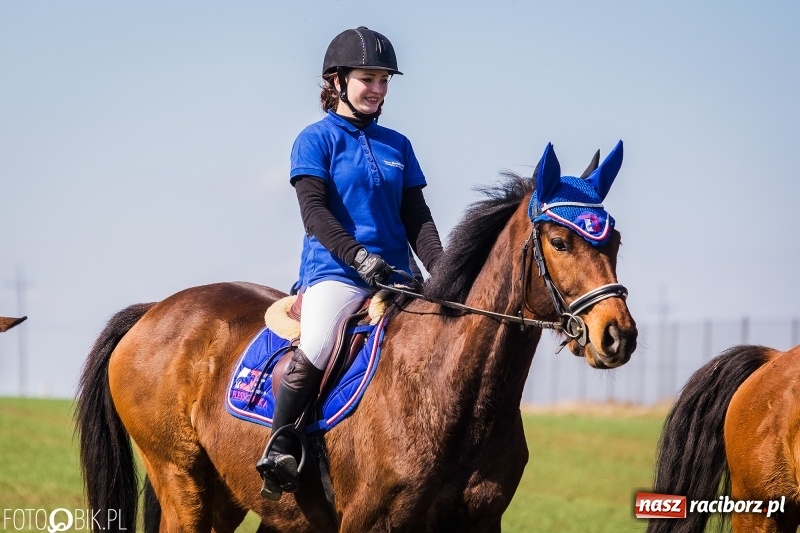 Zdjęcie w galerii na portalu naszraciborz.pl: Wyścigi konne na finał procesji w Sudole wiadomości z regionu