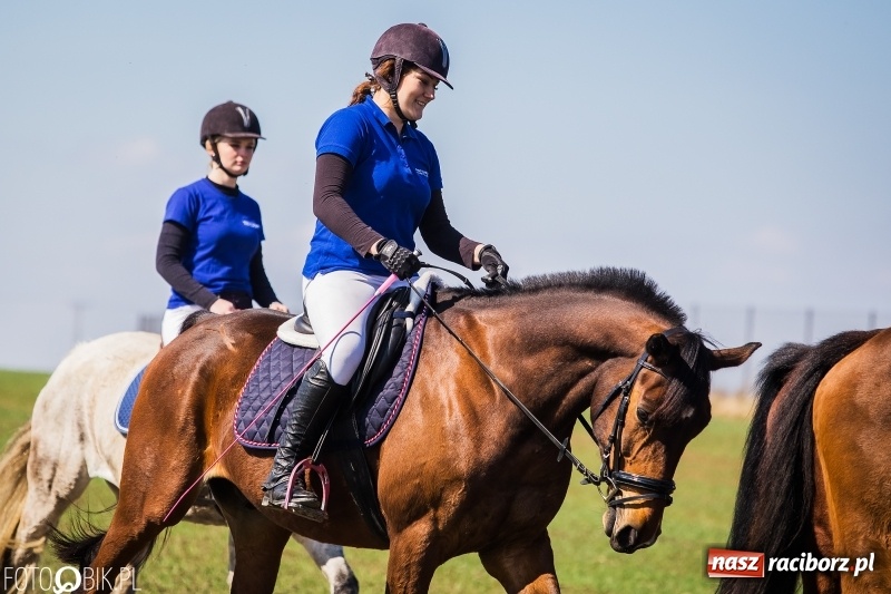 Zdjęcie w galerii na portalu naszraciborz.pl: Wyścigi konne na finał procesji w Sudole wiadomości z regionu