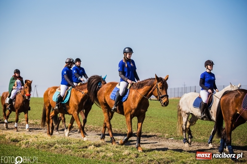 Zdjęcie w galerii na portalu naszraciborz.pl: Wyścigi konne na finał procesji w Sudole wiadomości z regionu