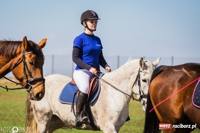 Zdjęcie w galerii na portalu naszraciborz.pl: Wyścigi konne na finał procesji w Sudole wiadomości z regionu