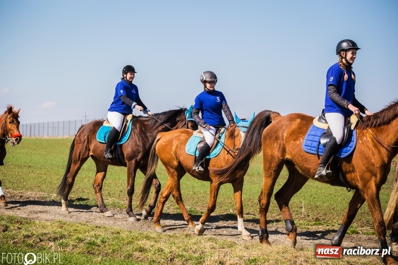 Zdjęcie w galerii na portalu naszraciborz.pl: Wyścigi konne na finał procesji w Sudole wiadomości z regionu