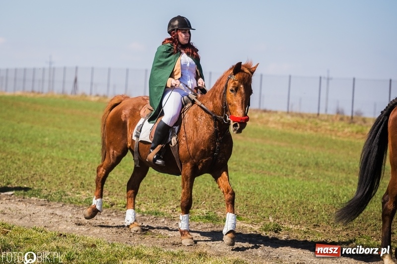 Zdjęcie w galerii na portalu naszraciborz.pl: Wyścigi konne na finał procesji w Sudole wiadomości z regionu