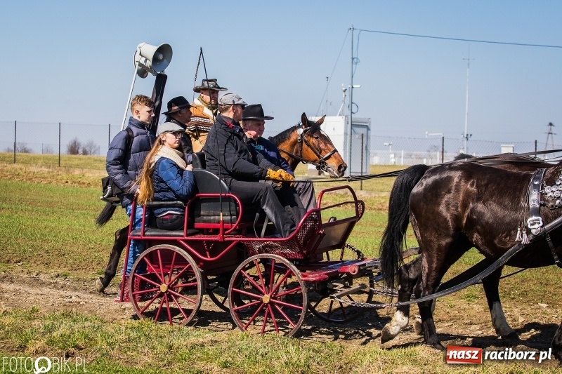 Zdjęcie w galerii na portalu naszraciborz.pl: Wyścigi konne na finał procesji w Sudole wiadomości z regionu