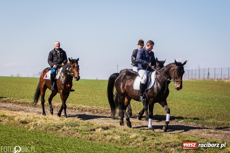Zdjęcie w galerii na portalu naszraciborz.pl: Wyścigi konne na finał procesji w Sudole wiadomości z regionu