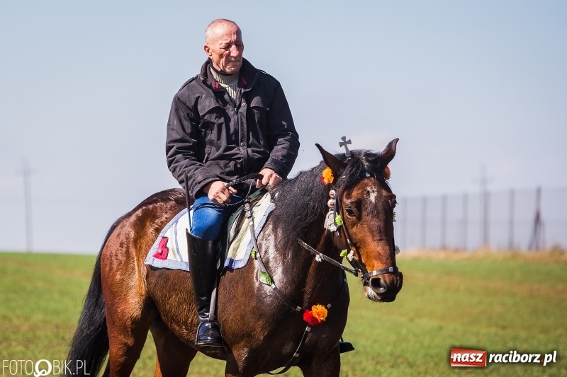 Zdjęcie w galerii na portalu naszraciborz.pl: Wyścigi konne na finał procesji w Sudole wiadomości z regionu