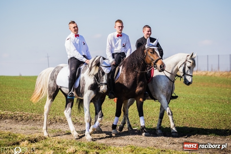 Zdjęcie w galerii na portalu naszraciborz.pl: Wyścigi konne na finał procesji w Sudole wiadomości z regionu