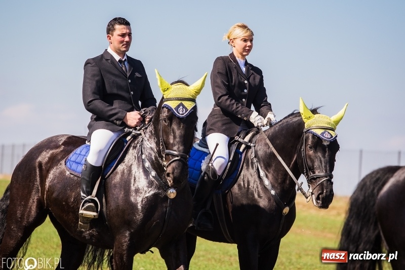 Zdjęcie w galerii na portalu naszraciborz.pl: Wyścigi konne na finał procesji w Sudole wiadomości z regionu