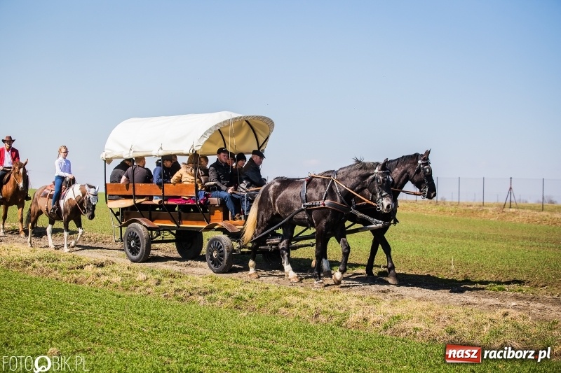 Zdjęcie w galerii na portalu naszraciborz.pl: Wyścigi konne na finał procesji w Sudole wiadomości z regionu