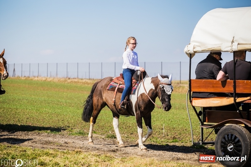 Zdjęcie w galerii na portalu naszraciborz.pl: Wyścigi konne na finał procesji w Sudole wiadomości z regionu