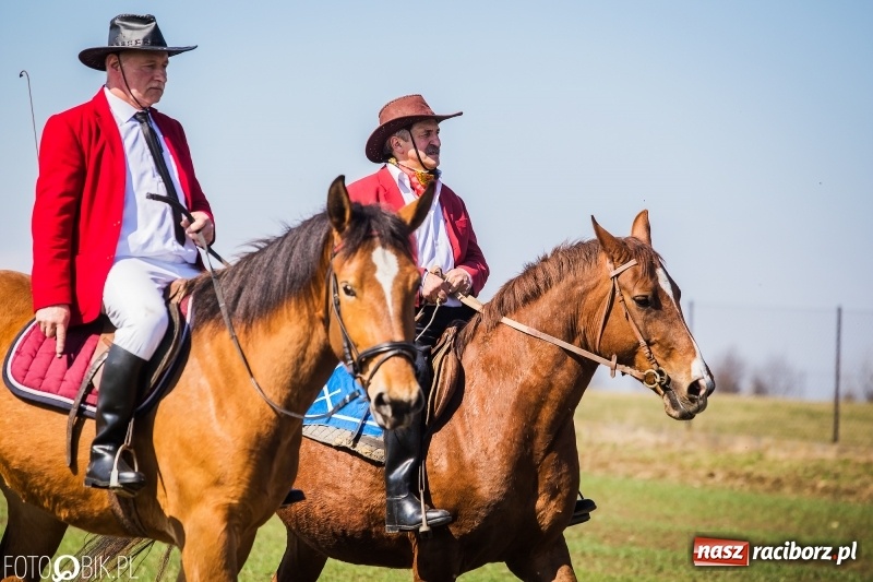 Zdjęcie w galerii na portalu naszraciborz.pl: Wyścigi konne na finał procesji w Sudole wiadomości z regionu