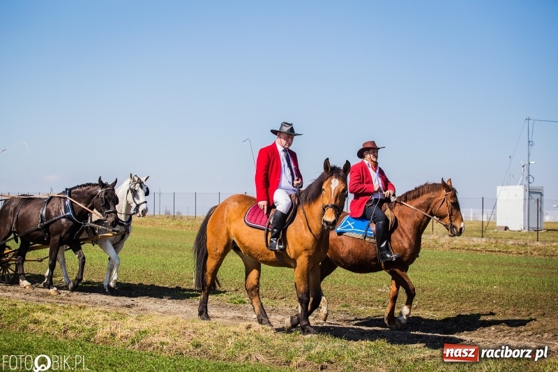 Zdjęcie w galerii na portalu naszraciborz.pl: Wyścigi konne na finał procesji w Sudole wiadomości z regionu