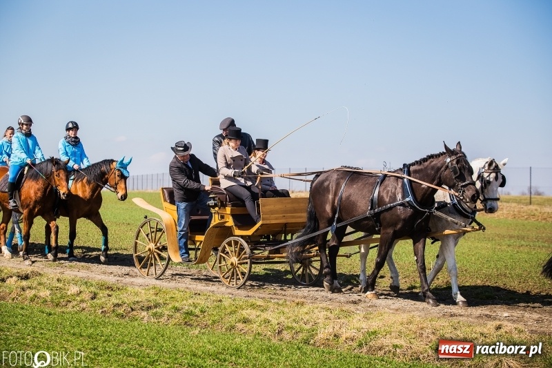 Zdjęcie w galerii na portalu naszraciborz.pl: Wyścigi konne na finał procesji w Sudole wiadomości z regionu