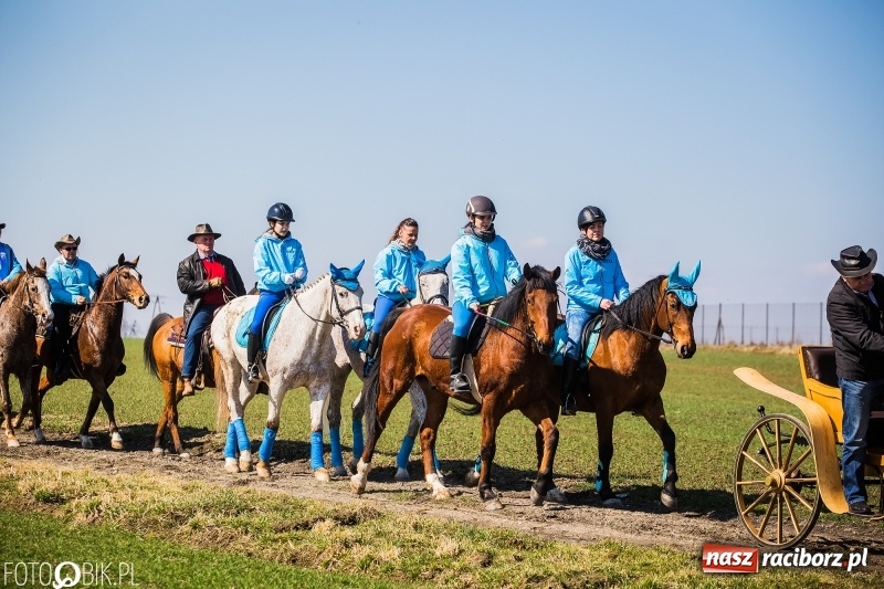 Zdjęcie w galerii na portalu naszraciborz.pl: Wyścigi konne na finał procesji w Sudole wiadomości z regionu