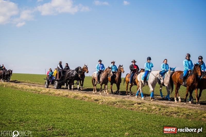 Zdjęcie w galerii na portalu naszraciborz.pl: Wyścigi konne na finał procesji w Sudole wiadomości z regionu