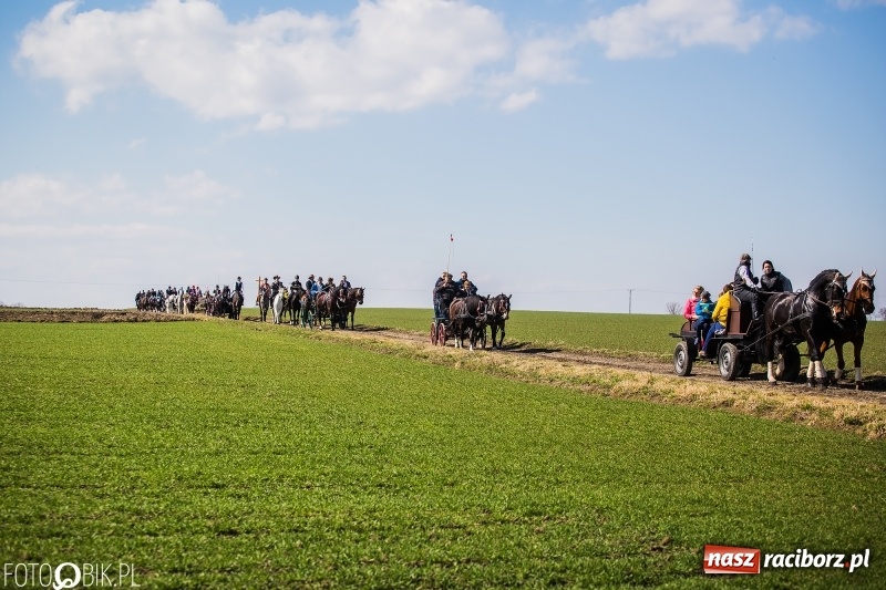 Zdjęcie w galerii na portalu naszraciborz.pl: Wyścigi konne na finał procesji w Sudole wiadomości z regionu