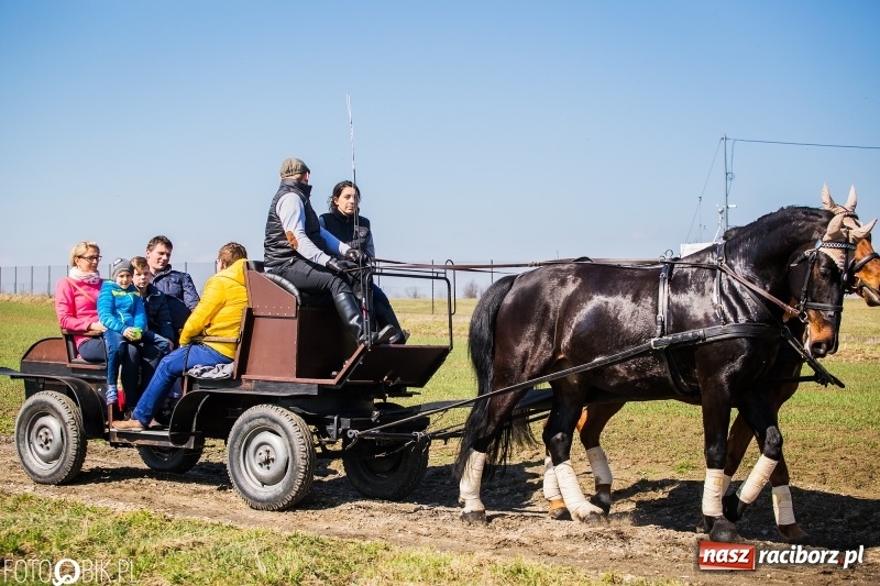 Zdjęcie w galerii na portalu naszraciborz.pl: Wyścigi konne na finał procesji w Sudole wiadomości z regionu