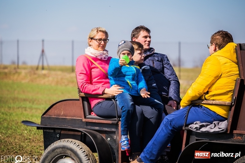 Zdjęcie w galerii na portalu naszraciborz.pl: Wyścigi konne na finał procesji w Sudole wiadomości z regionu