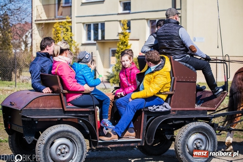 Zdjęcie w galerii na portalu naszraciborz.pl: Wyścigi konne na finał procesji w Sudole wiadomości z regionu