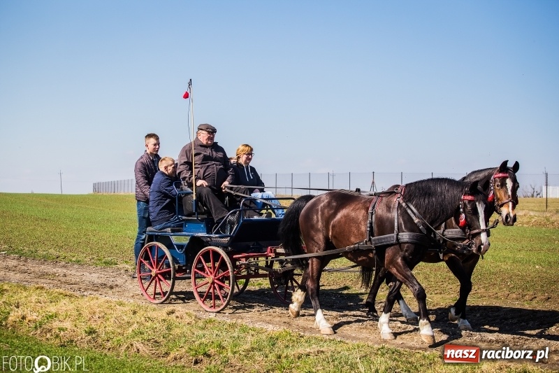 Zdjęcie w galerii na portalu naszraciborz.pl: Wyścigi konne na finał procesji w Sudole wiadomości z regionu