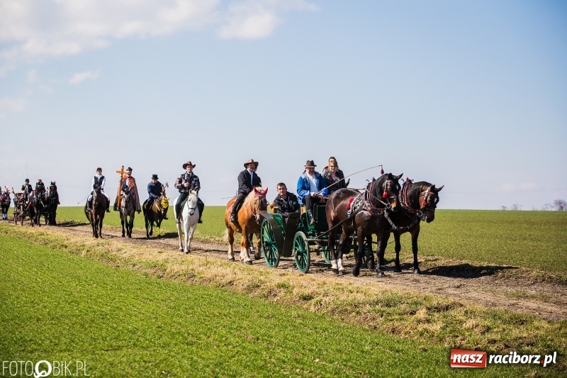 Zdjęcie w galerii na portalu naszraciborz.pl: Wyścigi konne na finał procesji w Sudole wiadomości z regionu