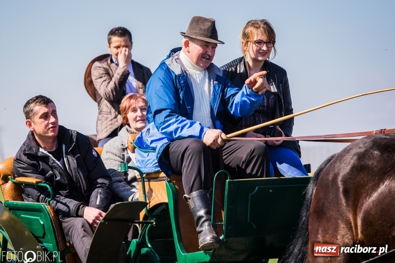 Zdjęcie w galerii na portalu naszraciborz.pl: Wyścigi konne na finał procesji w Sudole wiadomości z regionu