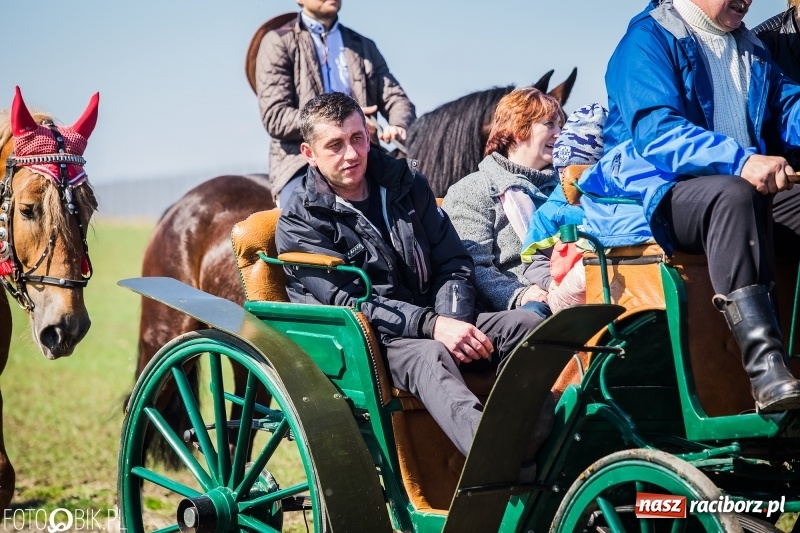 Zdjęcie w galerii na portalu naszraciborz.pl: Wyścigi konne na finał procesji w Sudole wiadomości z regionu