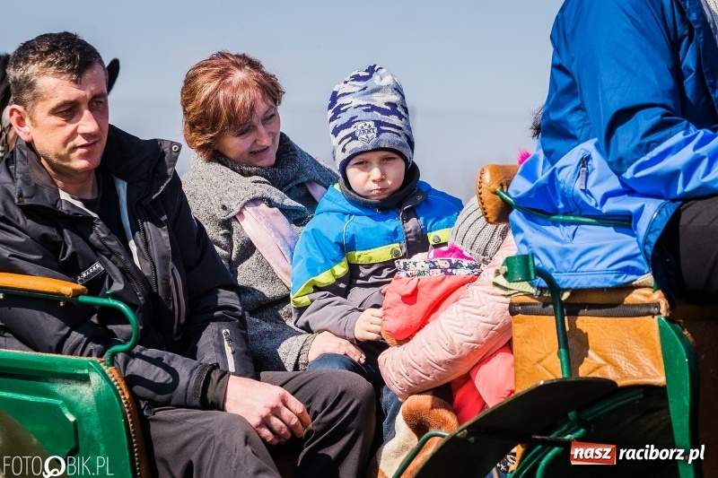 Zdjęcie w galerii na portalu naszraciborz.pl: Wyścigi konne na finał procesji w Sudole wiadomości z regionu