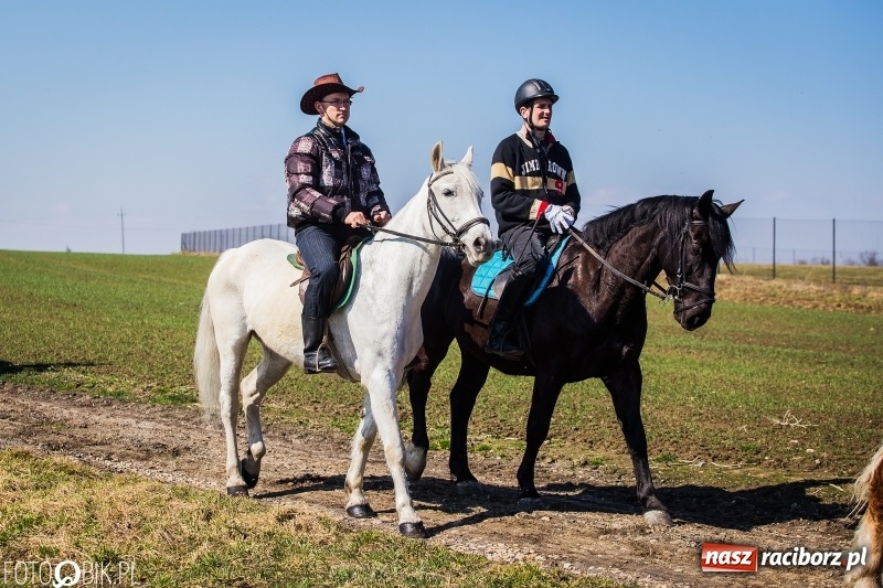 Zdjęcie w galerii na portalu naszraciborz.pl: Wyścigi konne na finał procesji w Sudole wiadomości z regionu